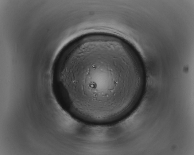 X0000094321514200711241756