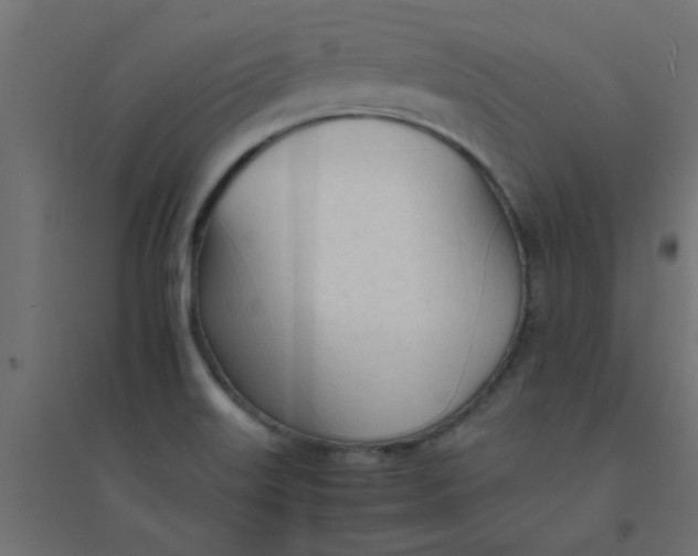 X0000094321515200711241756