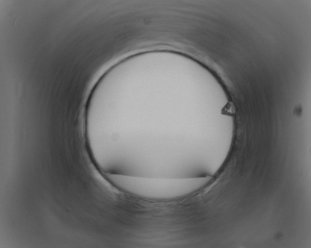 X0000094321516200711241756
