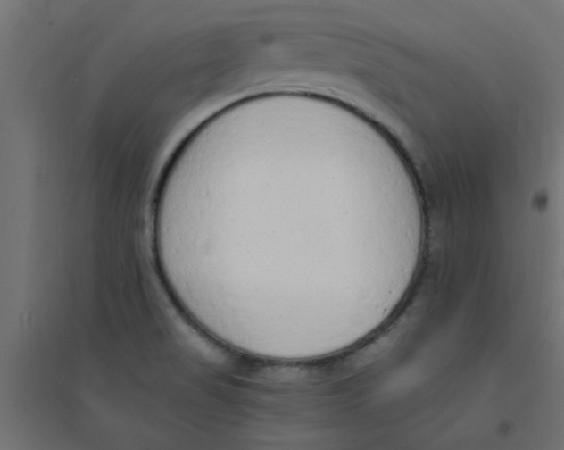 X0000094321517200711241756
