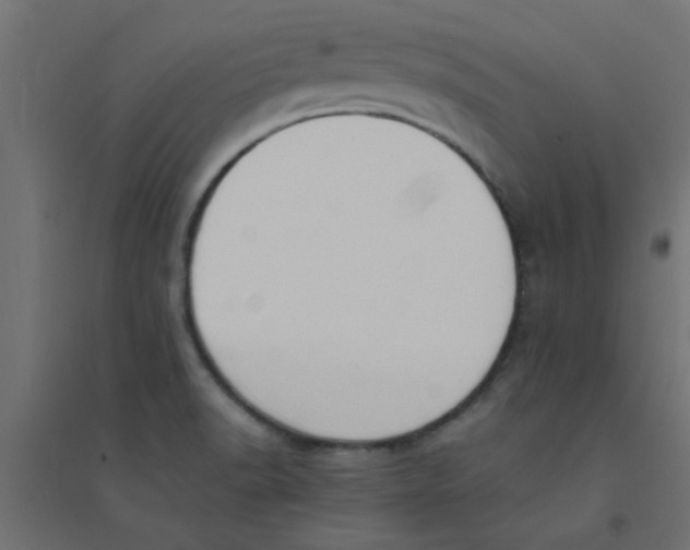 X0000094321518200711241756