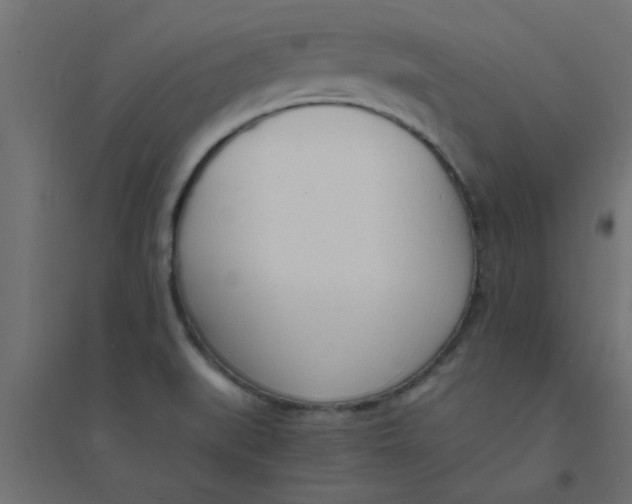 X0000094321519200711241756