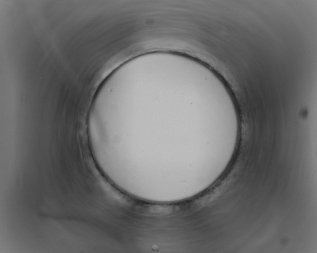 X0000094321521200711241756