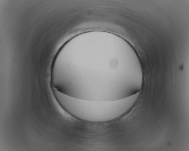X0000094321523200711241756