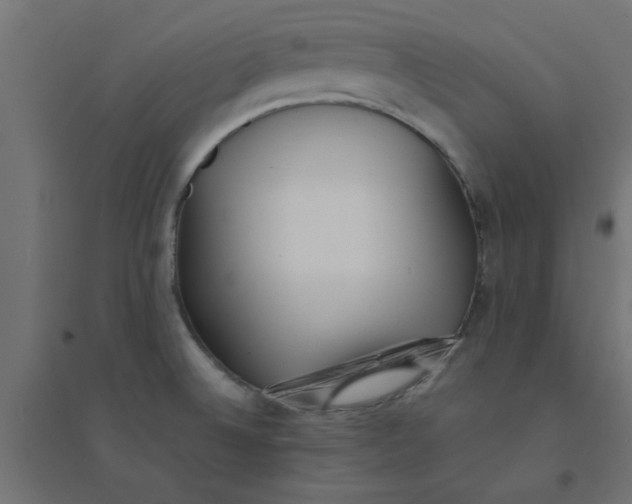 X0000094321524200711241756