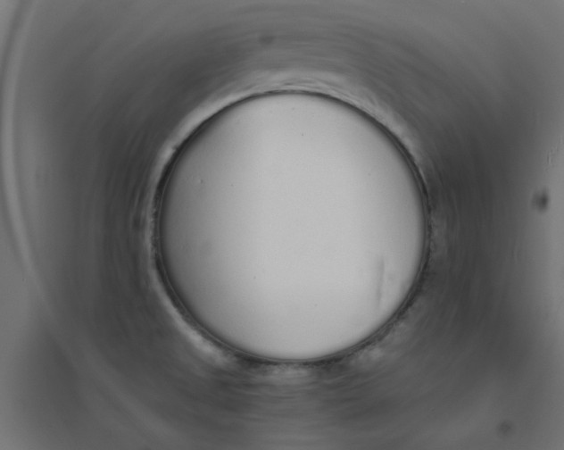 X0000094321525200711241756