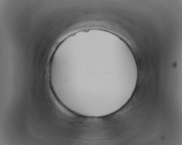 X0000094321526200711241756