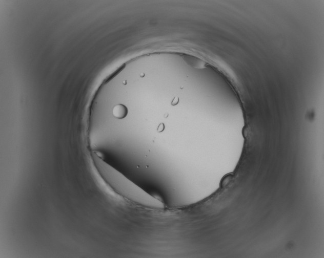 X0000094321528200711241756