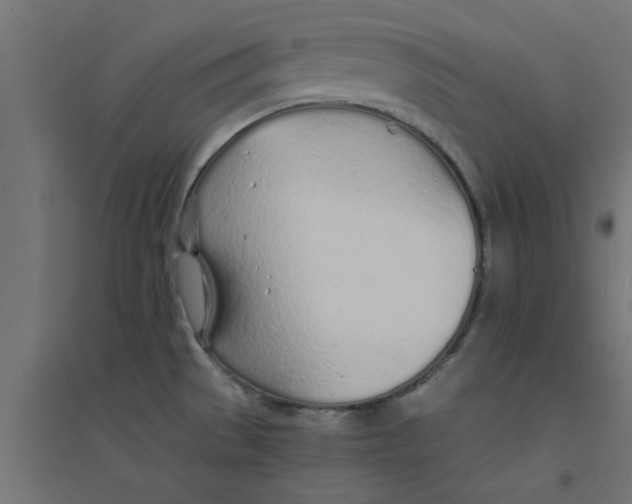 X0000094321529200711241756