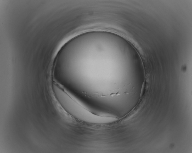 X0000094321530200711241756