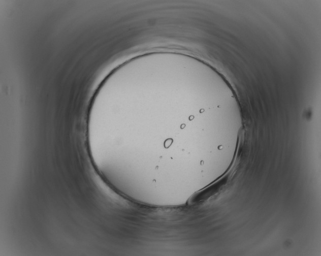 X0000094321531200711241756