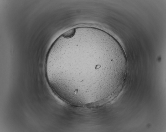 X0000094321533200711241756