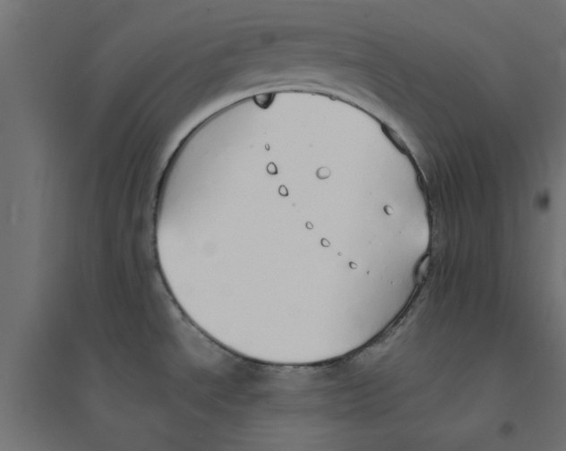 X0000094321534200711241756