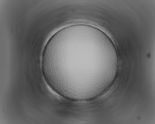 X0000094321535200711241756