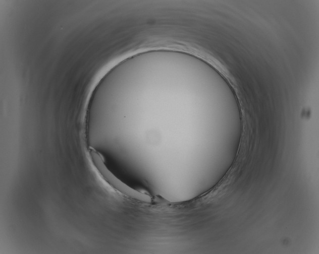 X0000094321536200711241756