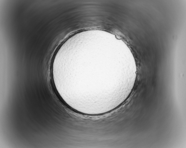 X0000094320002200711301218