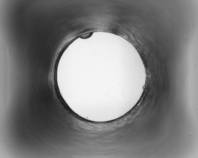 X0000094320006200711301217