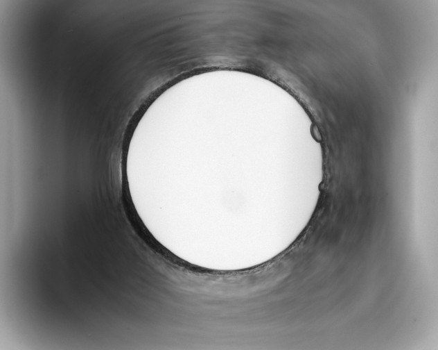 X0000094320011200711301217