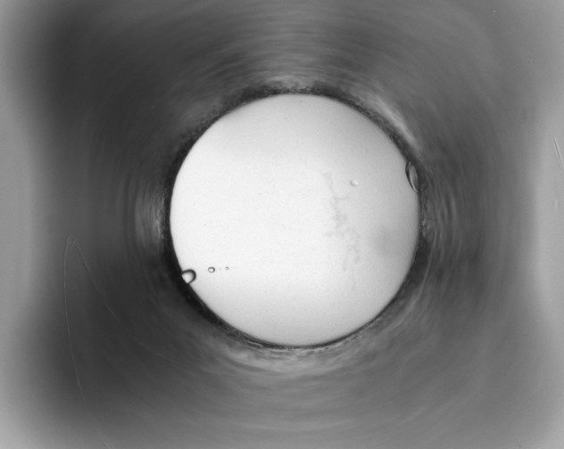 X0000094320023200711301217