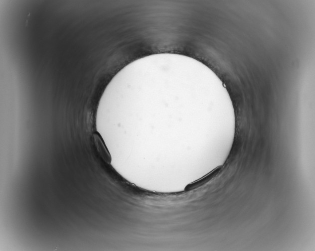 X0000094320025200711301217