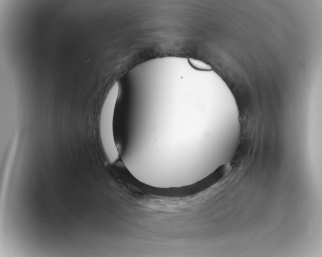 X0000094320033200711301217