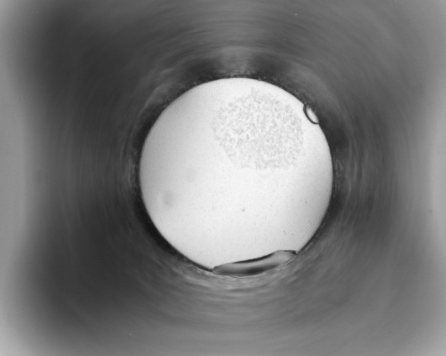 X0000094320035200711301217