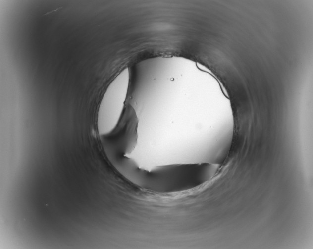 X0000094320041200711301217