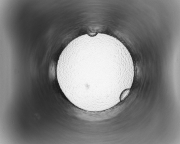 X0000094320042200711301217