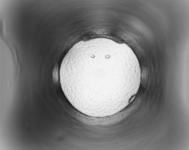 X0000094320046200711301217