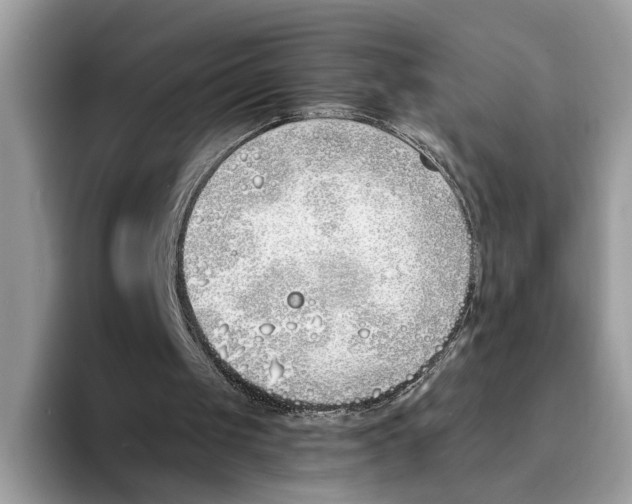 X0000094320049200711301216