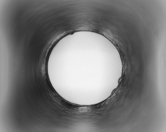 X0000094320050200711301216