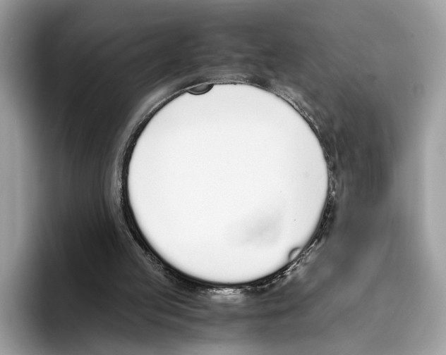 X0000094320053200711301216