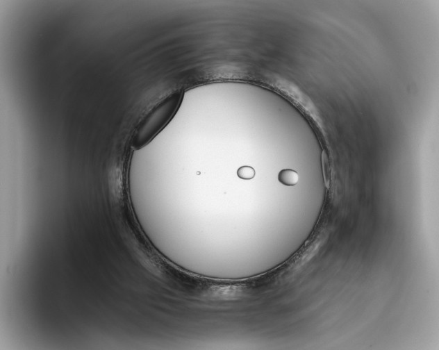 X0000094320057200711301216