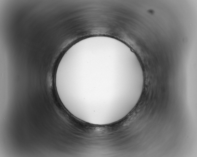 X0000094320060200711301216