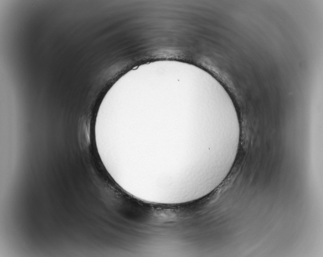 X0000094320062200711301216