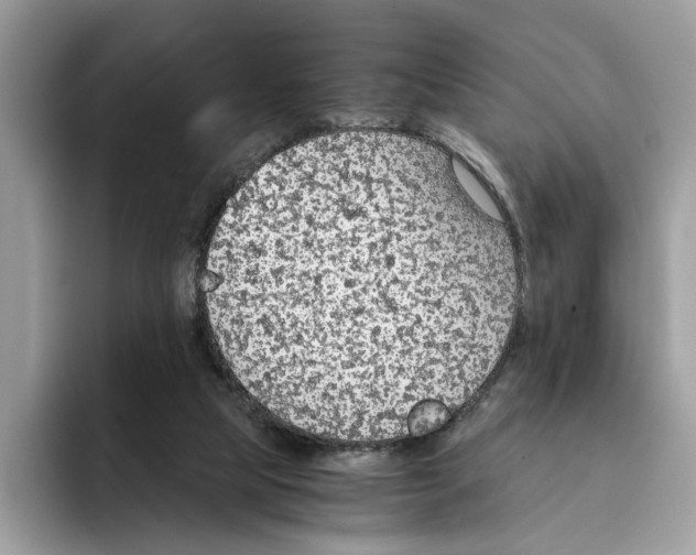 X0000094320065200711301217