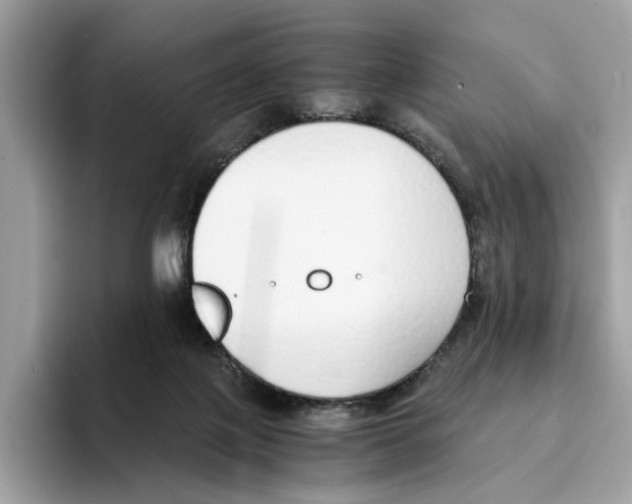 X0000094320075200711301217