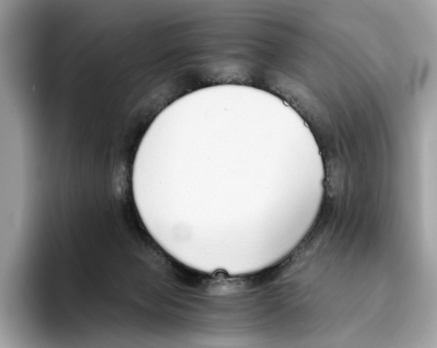 X0000094320077200711301217