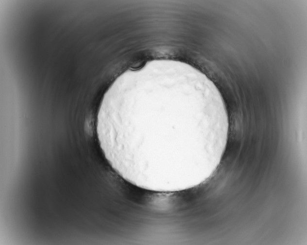 X0000094320090200711301217