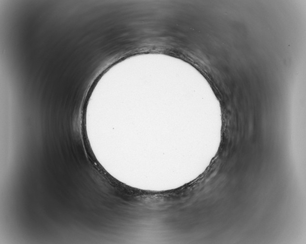 X0000094320100200711301216