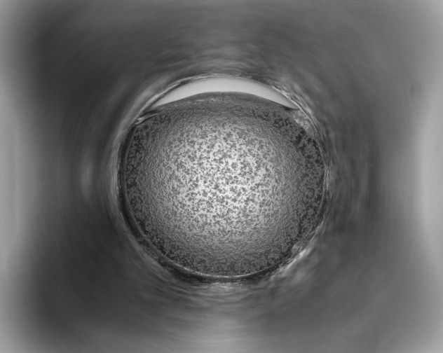 X0000094320101200711301216