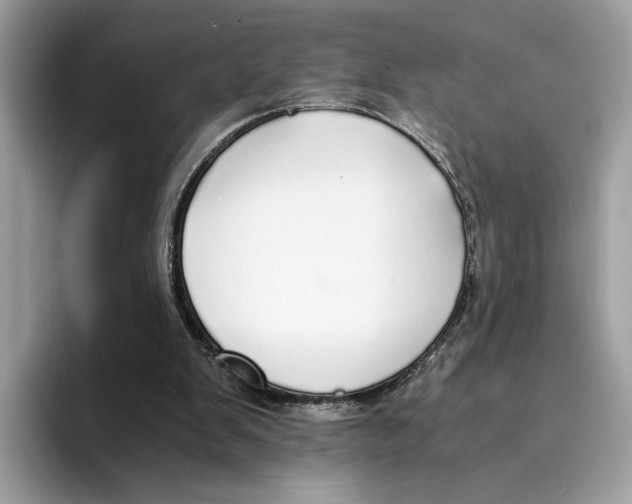 X0000094320103200711301216