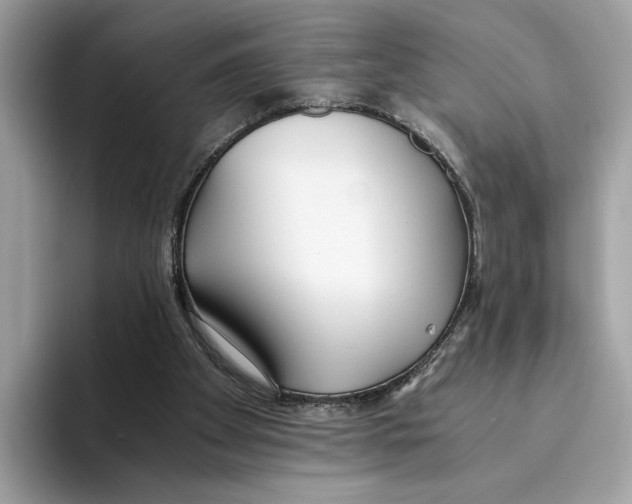 X0000094320105200711301216