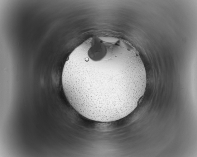 X0000094320139200711301216