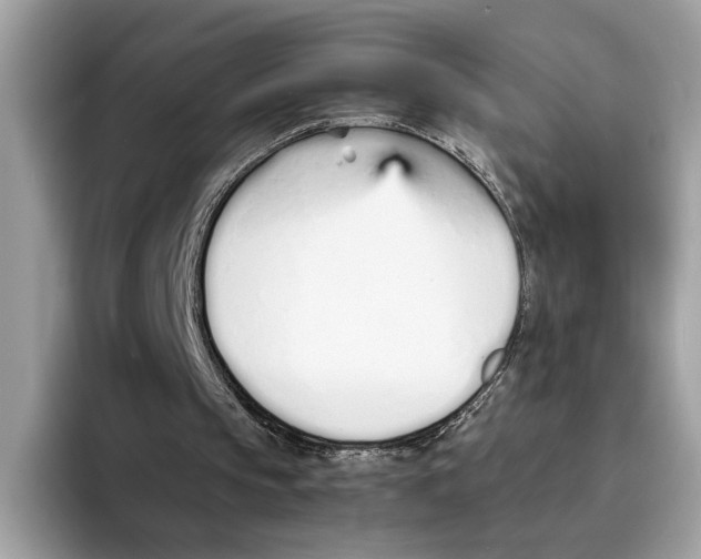 X0000094320145200711301215