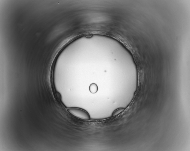 X0000094320147200711301215