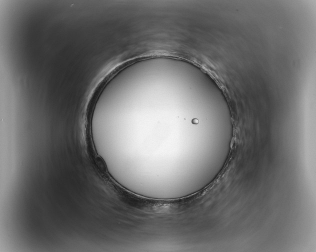 X0000094320152200711301215