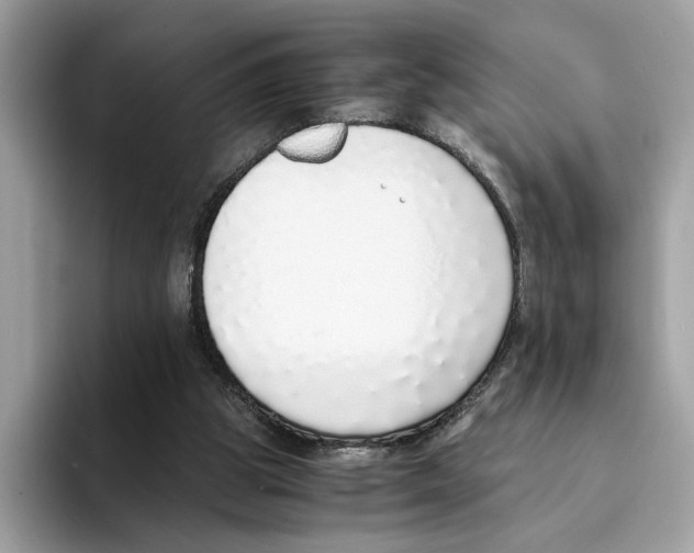 X0000094320153200711301215