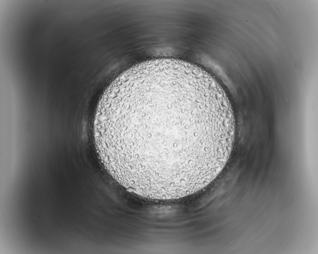 X0000094320161200711301215