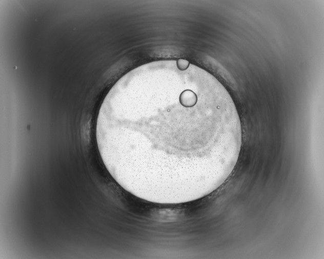 X0000094320163200711301215